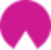 Wirebox logo